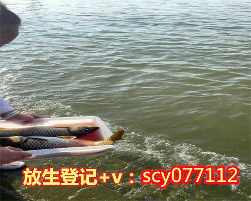 什么东西放生好存活时间长，什么是放生？为什么要放生？放生有那些好处