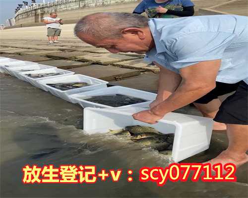 北京冬季哪里可以放生，北京规定在湿地随意放生可罚50万