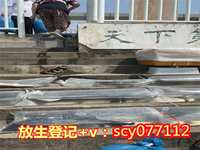 北京积福积慧放生2024年照片，北京地区石刻概述