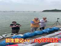 <strong>杭州何地可以放生昆虫</strong>