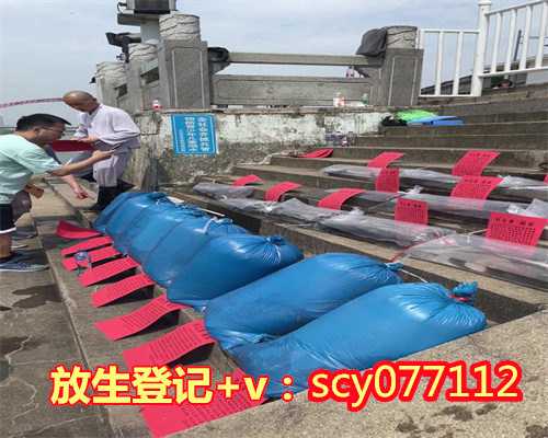 重庆公园放生螺丝