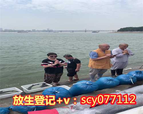 深圳哪里放生草龟