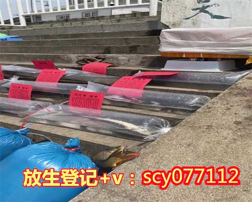 南昌公园放生锦鲤南昌，南昌哪里可以放生蛙【南昌放生一般去哪里放生】