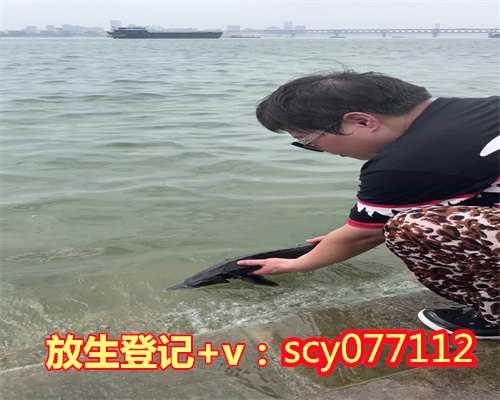 东莞放生的秘密,东莞市内放生地方,东莞巴西龟放生