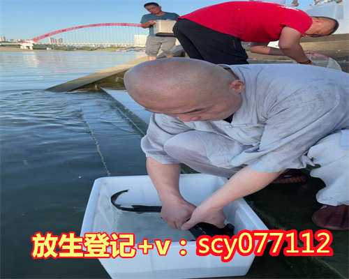 东莞放生法事，东莞寻找东莞放生群，东莞别人送的魚放生可以吗