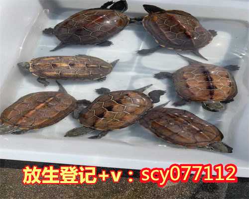 浙江哪里适合放生河蚌