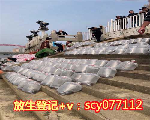 河南哪儿允许放生